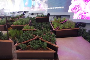 SAMSUNG CAMERA PICTURES