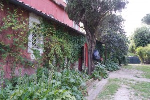 Casa Barzini - Cooking in the country